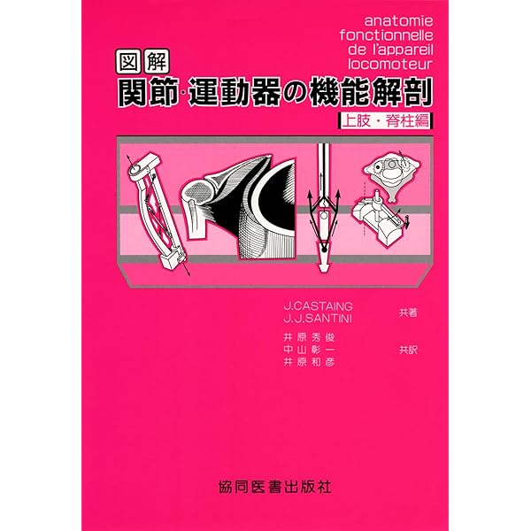 図説筋の機能解剖 | ジョン H.ウォーフィル, 盛岡 通, 小川 恵子 |本